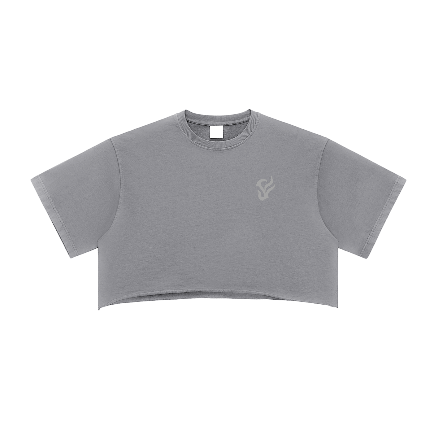 Snow Washed Raw Edge Crop Top